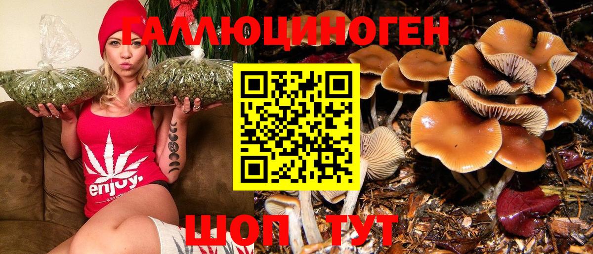 Псилоцибиновые грибы Magic Shrooms Прокопьевск