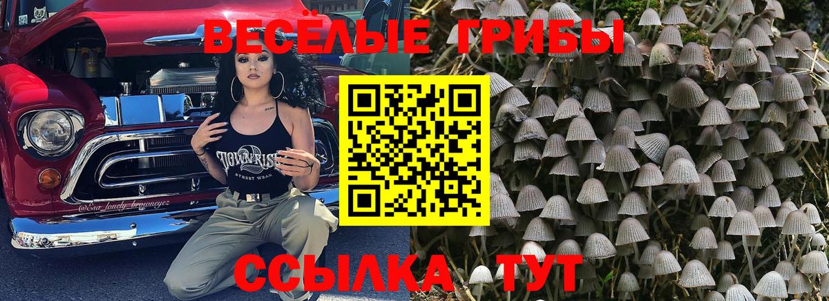 Псилоцибиновые грибы Psilocybe  Вход с VPN  Прокопьевск  Галлюциногенные грибы мухоморы 