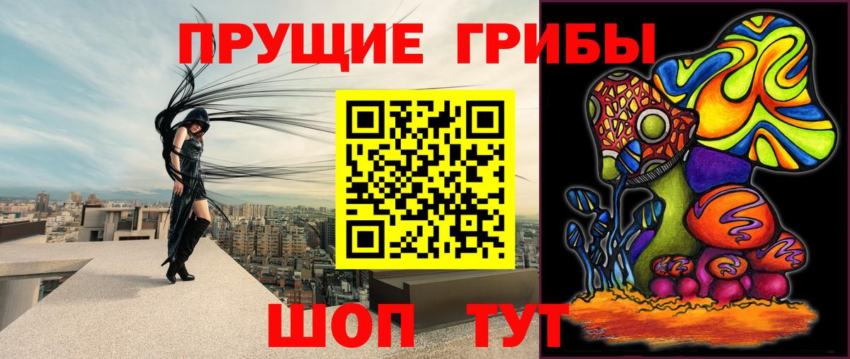 Галлюциногенные грибы Magic Shrooms  где можно купить   Прокопьевск 