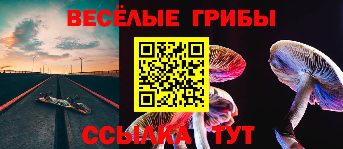 Псилоцибиновые грибы Psilocybe Прокопьевск